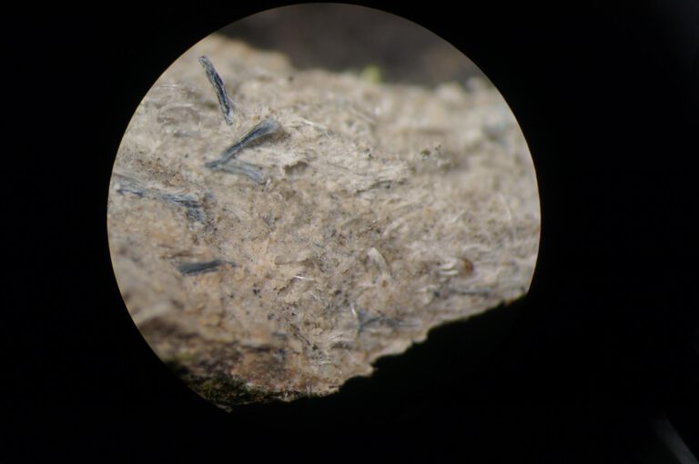 Witte en blauwe asbest onder microscoop